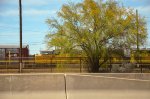 Union Pacific SD60M in the yard